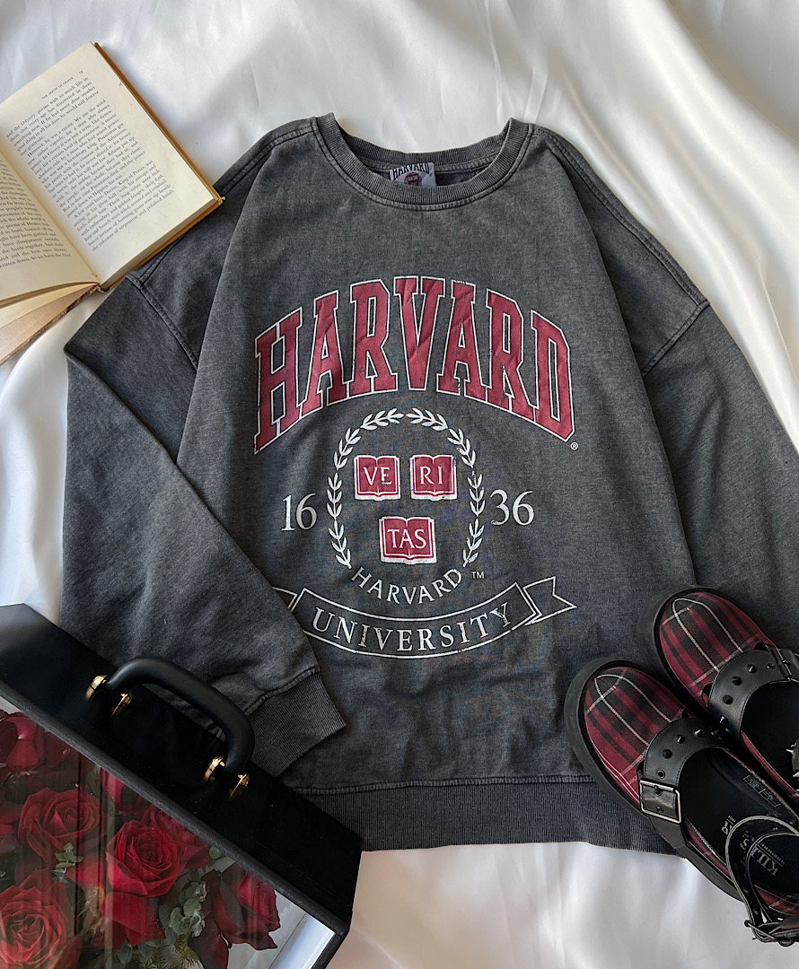 دورس سنگشور Harvard