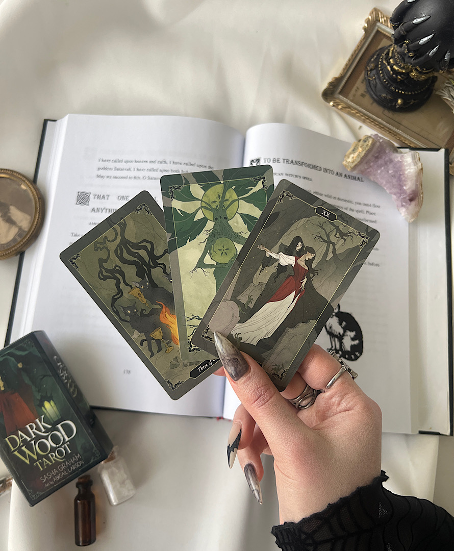 تاروت dark wood